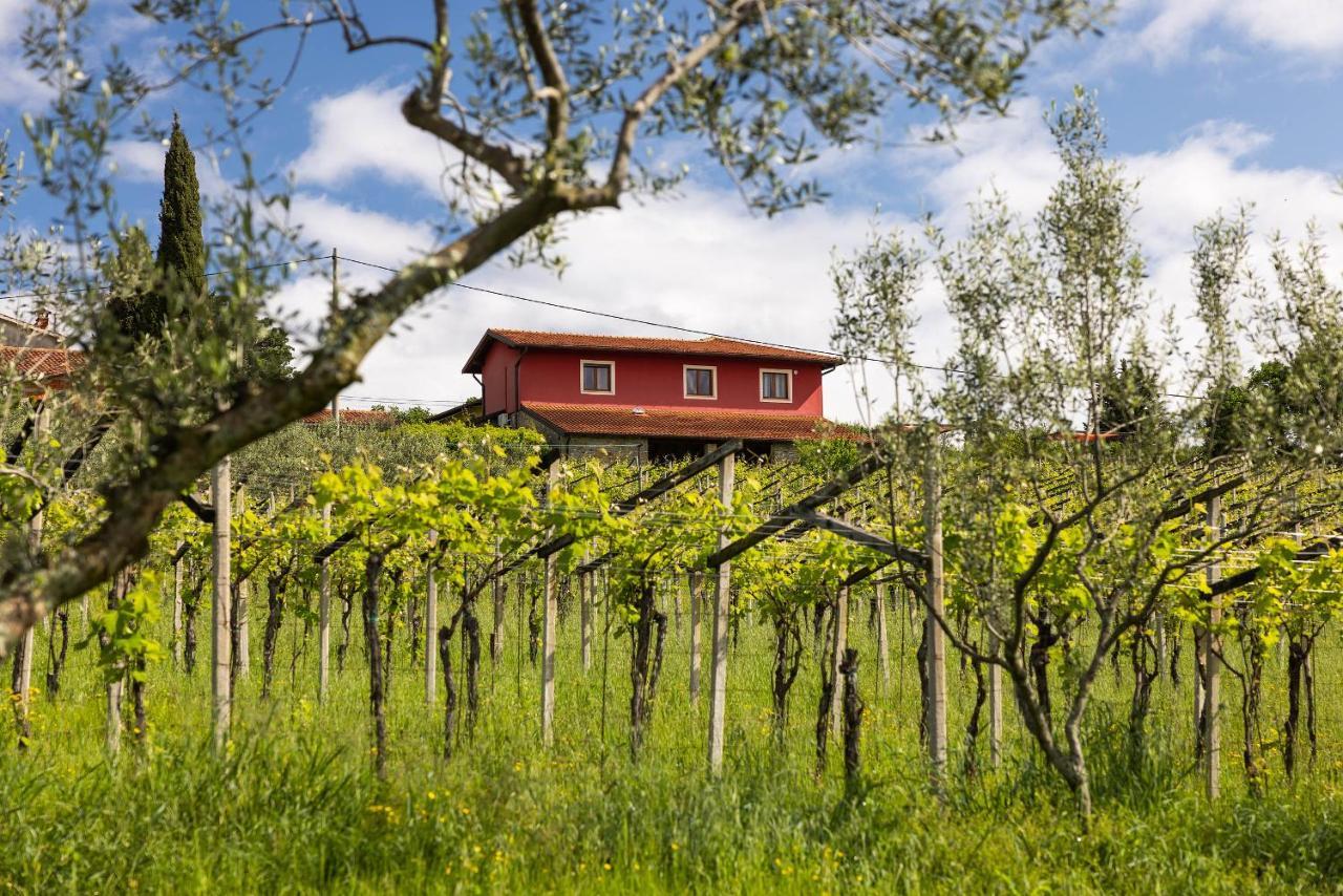 Touristfarm - Apartments "Red Fairytale" มาเรซิเก ภายนอก รูปภาพ