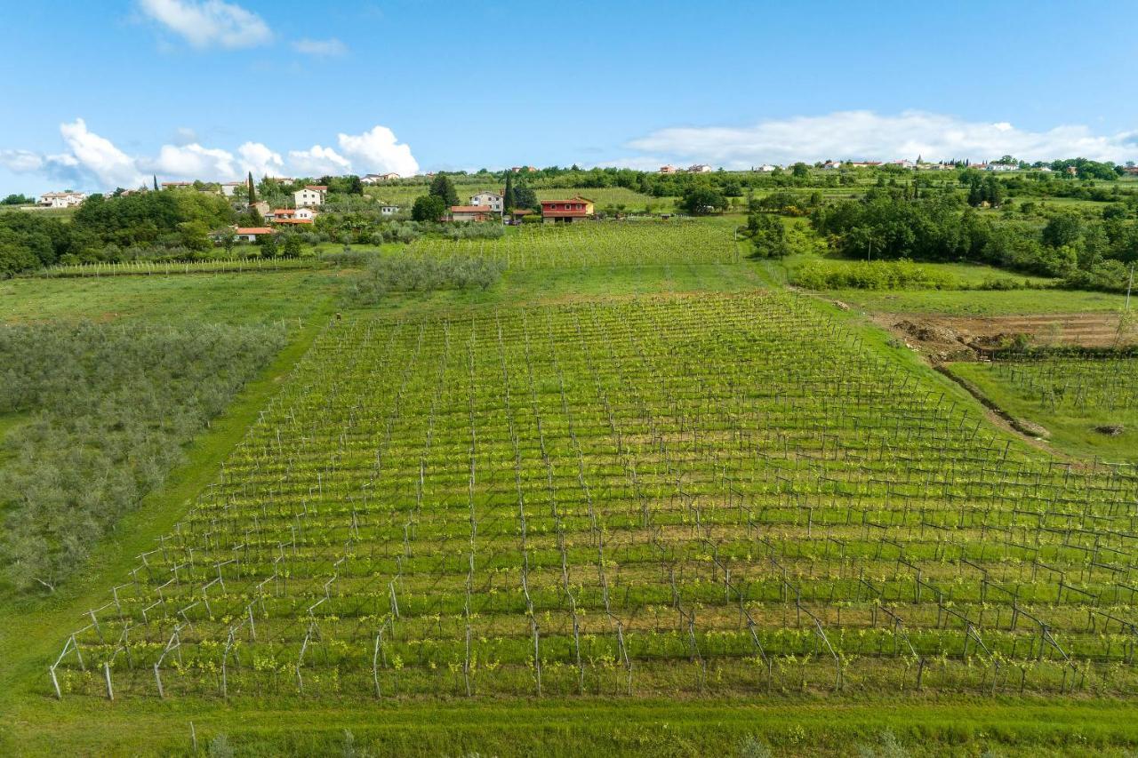 Touristfarm - Apartments "Red Fairytale" มาเรซิเก ภายนอก รูปภาพ